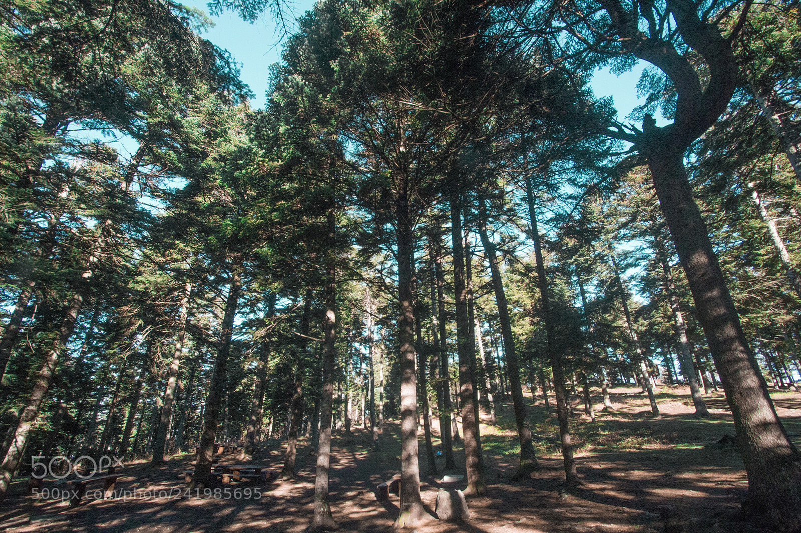 Canon EOS 60D sample photo. Gölcük photography