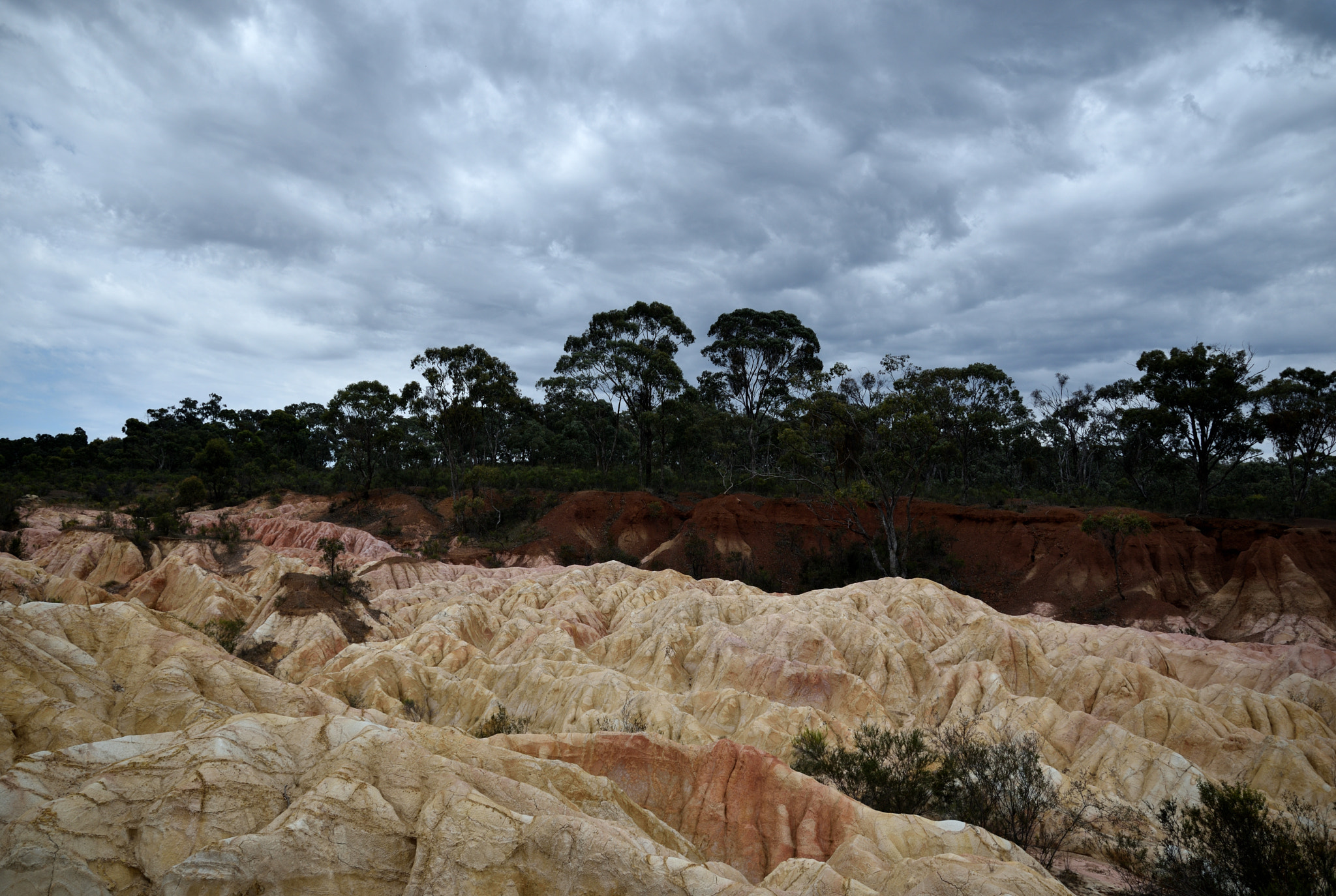Nikon D750 sample photo. Pink cliffs geological reserve photography