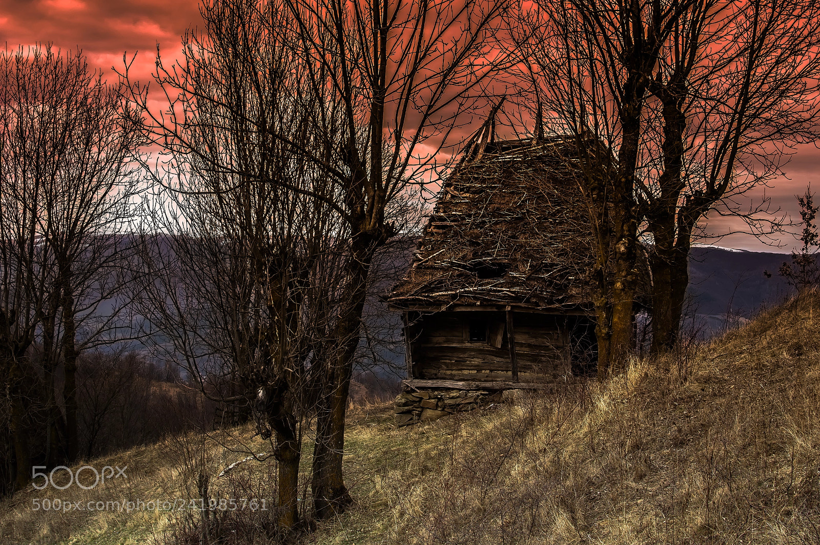 Nikon D3200 sample photo. Evening on the hill... photography