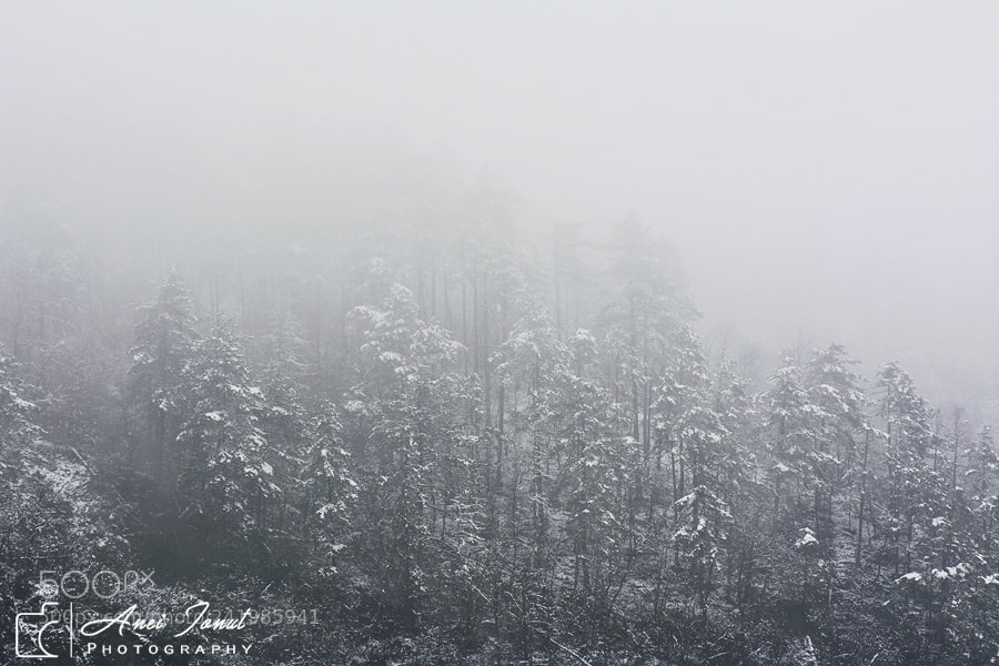 Nikon D7100 sample photo. Powder with snow not photography