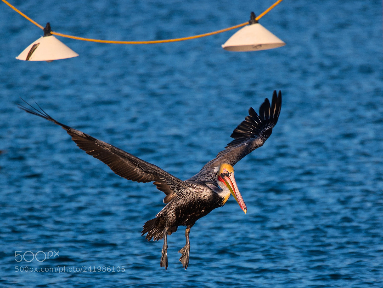 Nikon D5500 sample photo. An illuminated landing photography