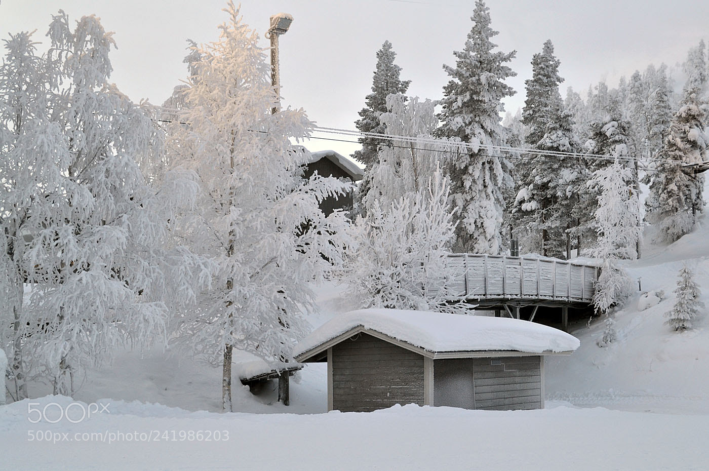Nikon D3100 sample photo. Cold outside photography