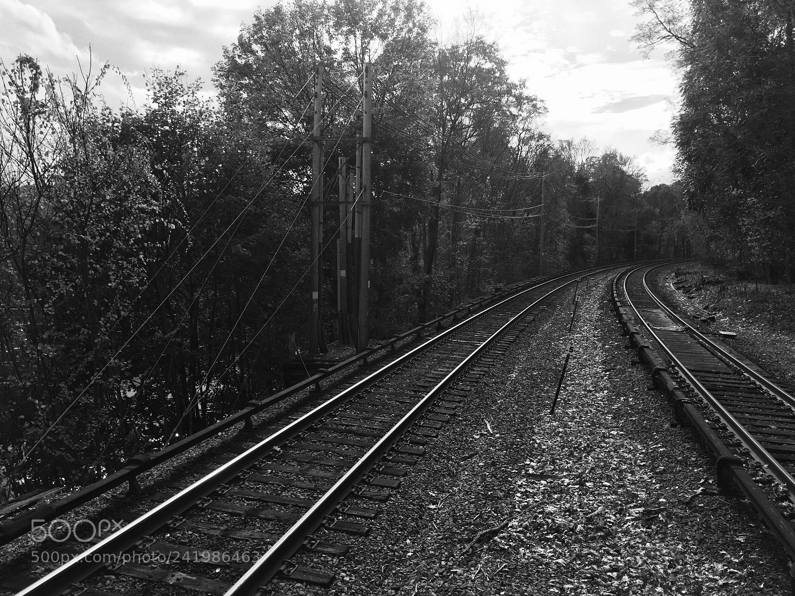Apple iPhone 6 sample photo. Untitled photography