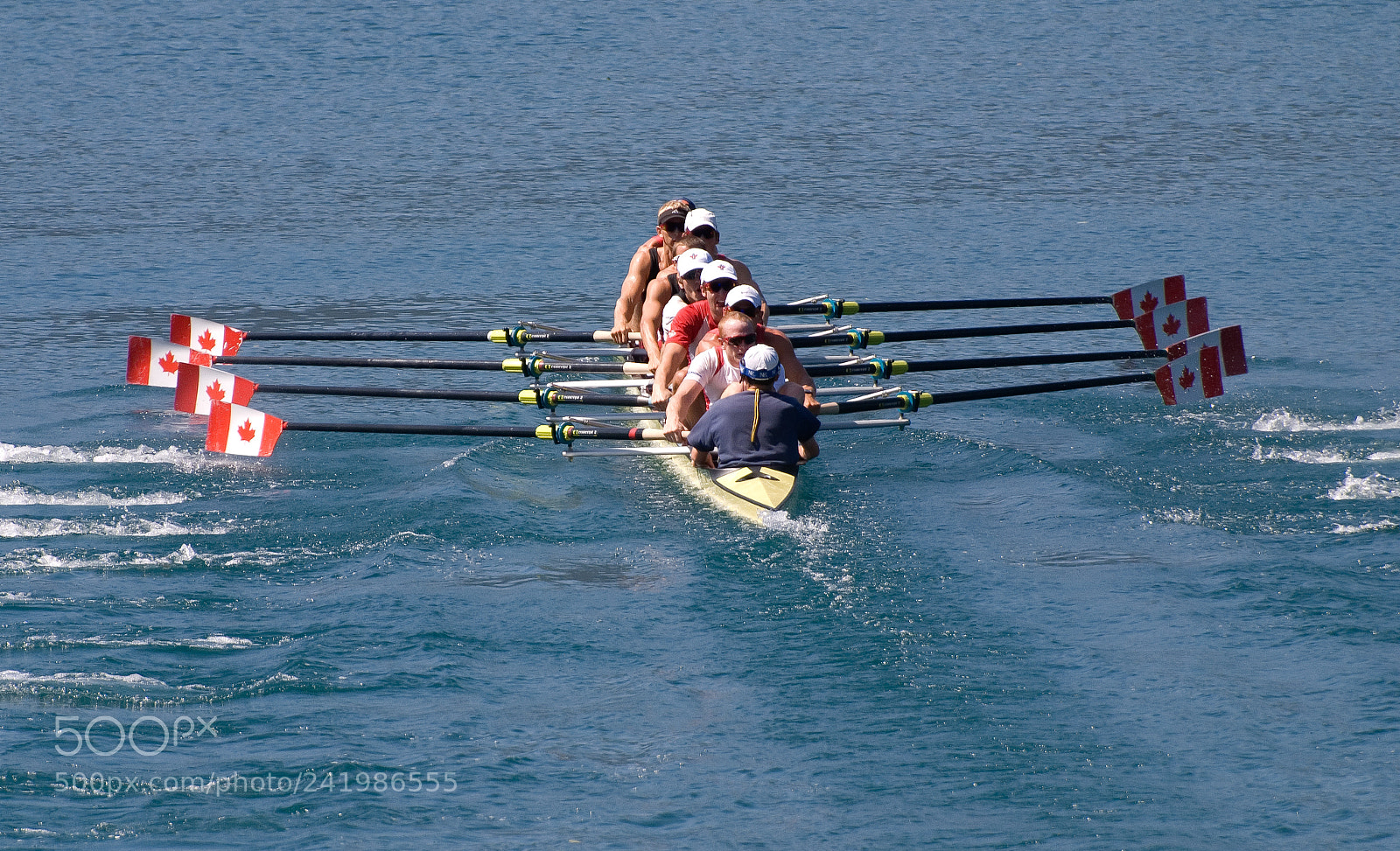 Nikon D80 sample photo. Canada go photography