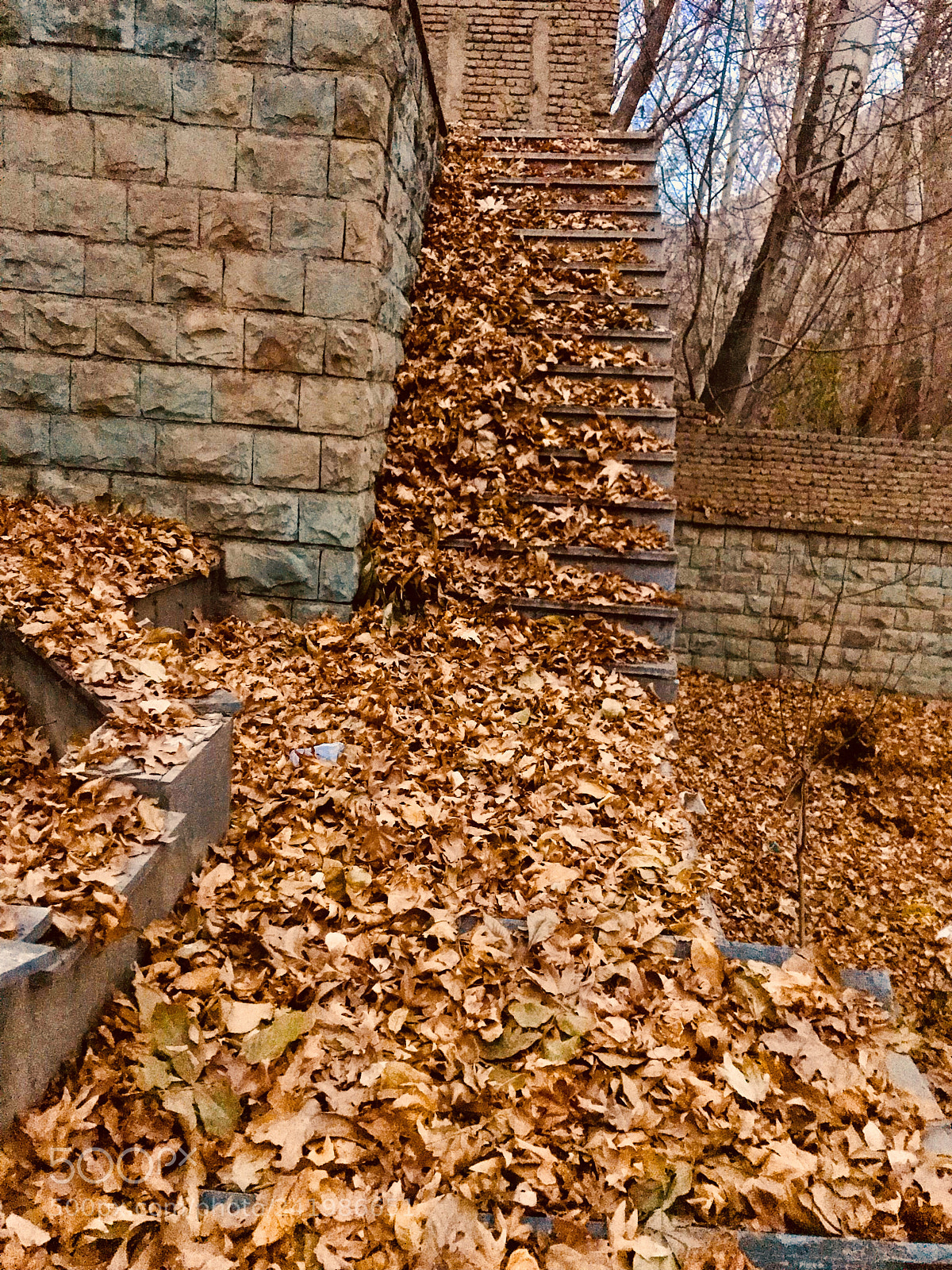Apple iPhone 7 sample photo. Leaves on the stairs photography