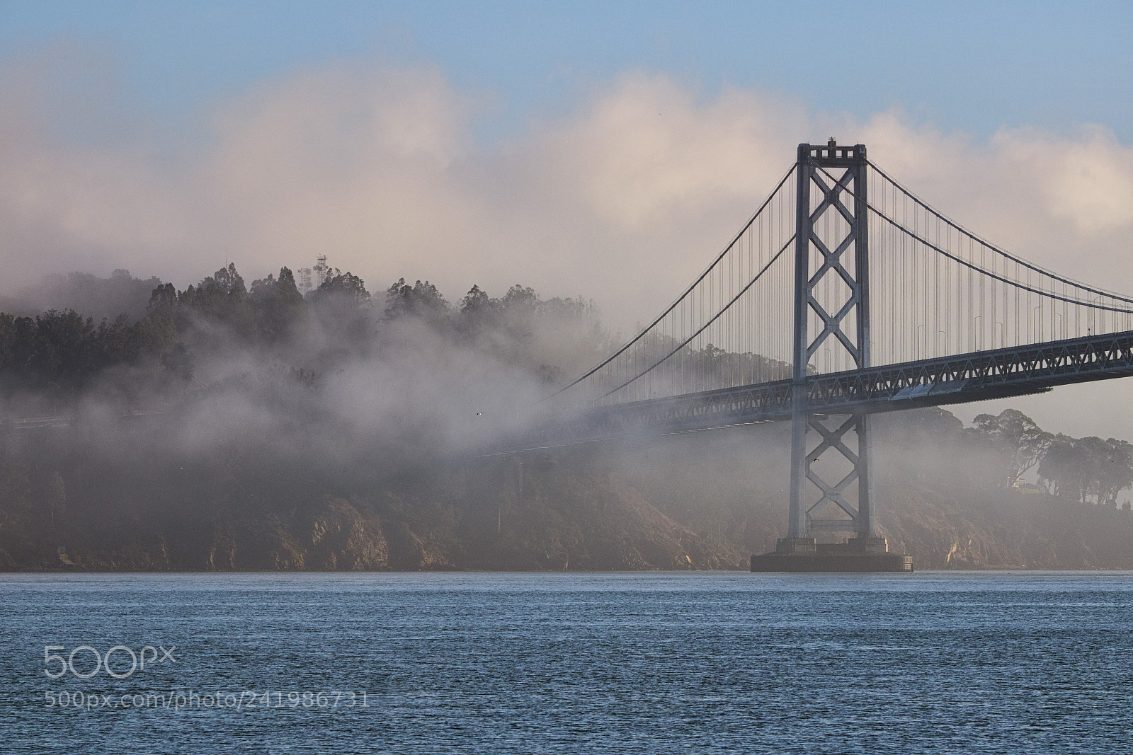 Fujifilm X-T1 sample photo. Foggy morning photography
