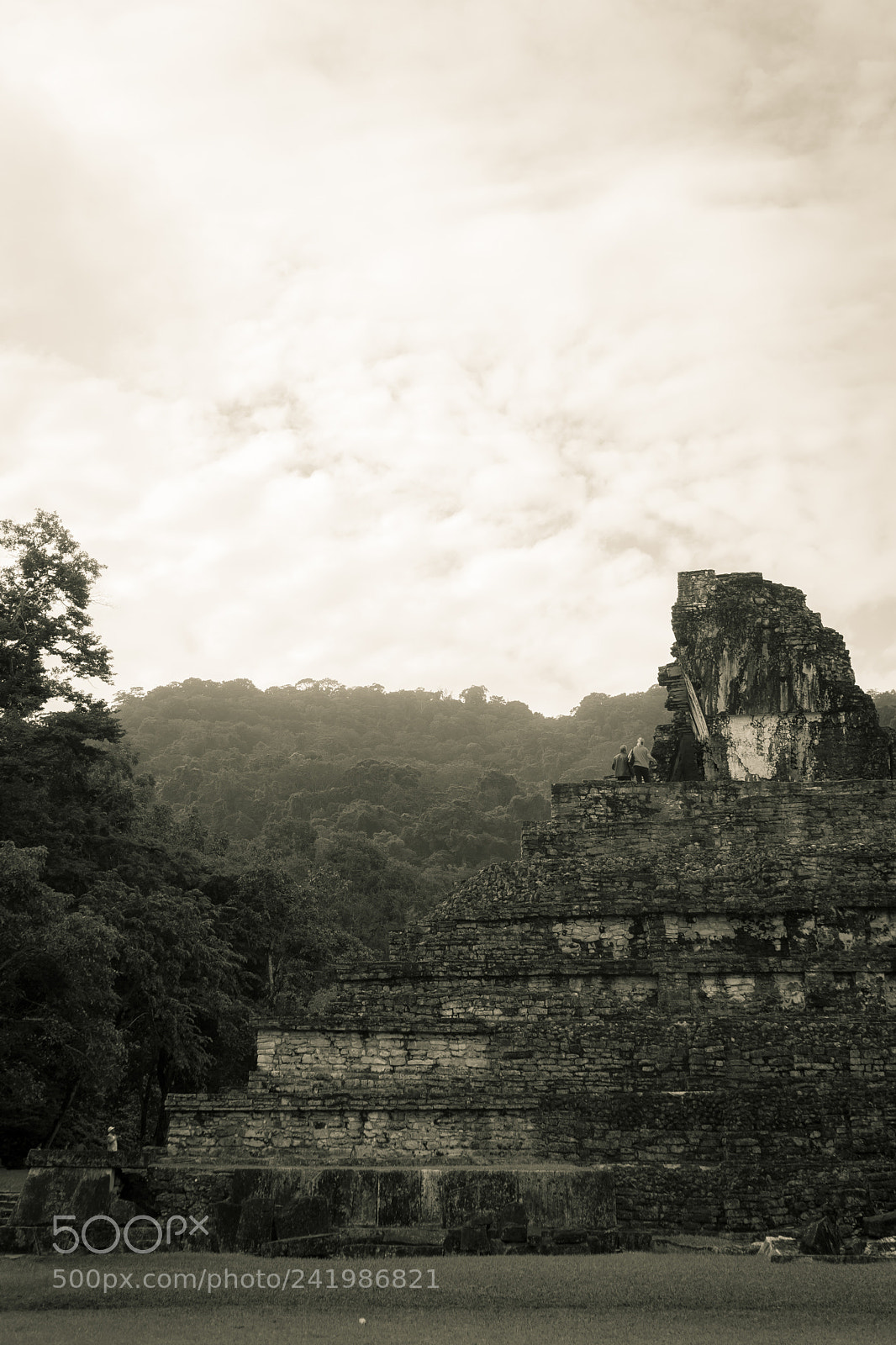 Sony a7 II sample photo. The palenque series photography