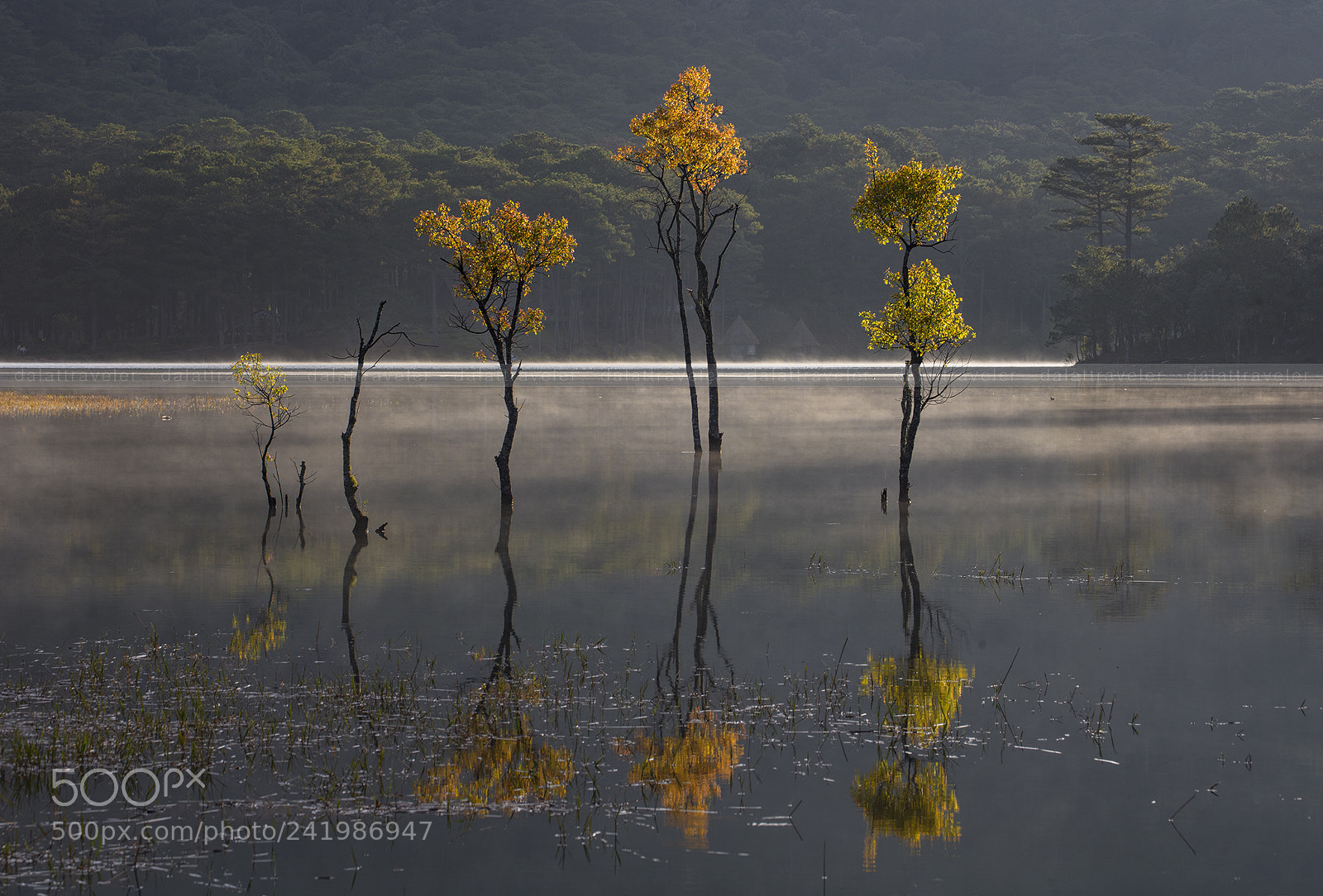 Canon EOS 5DS R sample photo. Ba photography