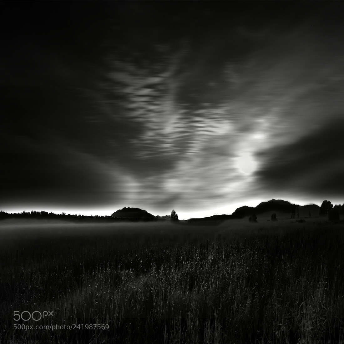 Canon EOS 5DS R sample photo. Fog in silver reef photography