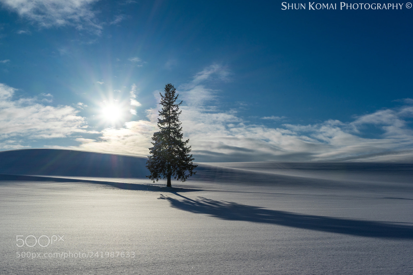 Sony a7 sample photo. Sound of winter photography