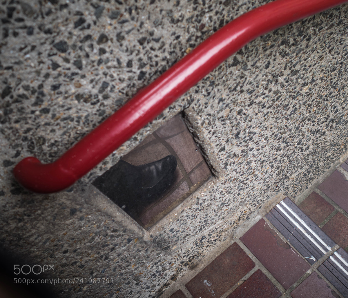 Olympus PEN-F sample photo. A step in any photography