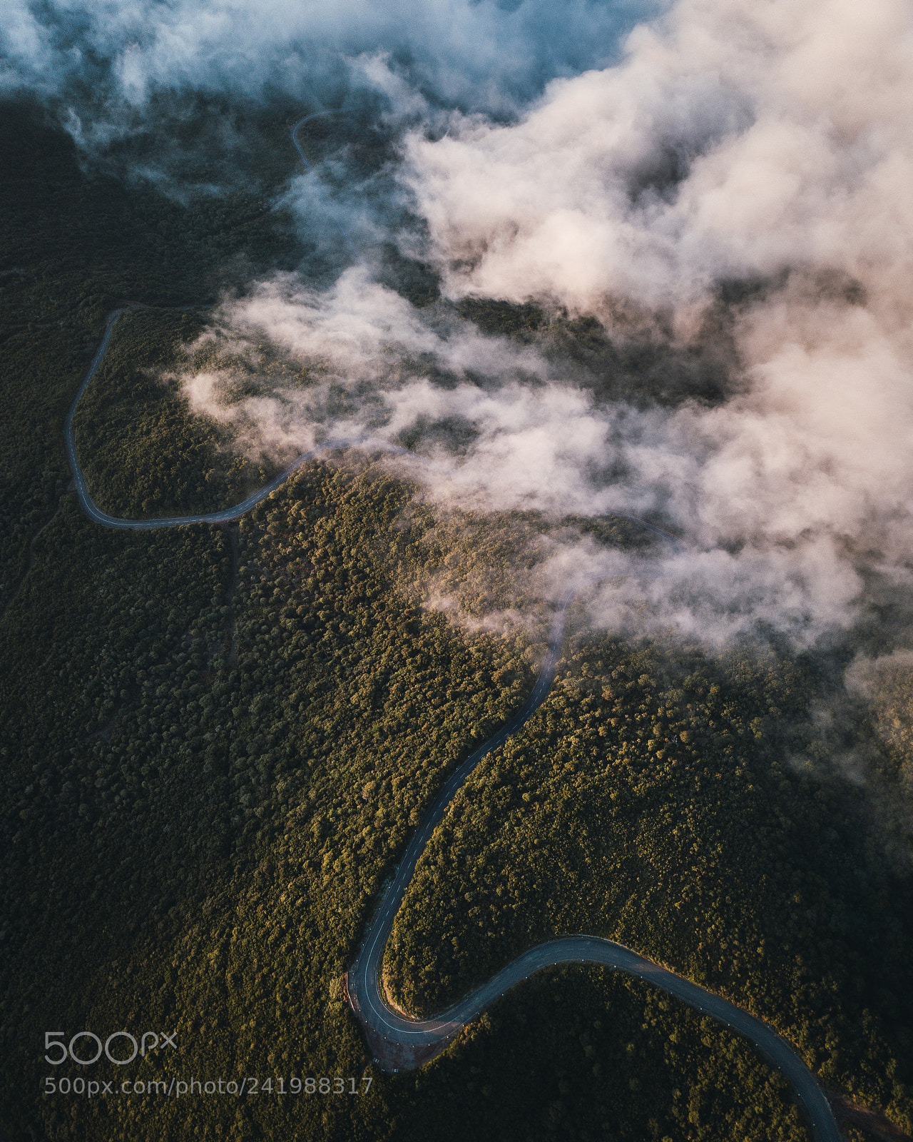 DJI FC220 sample photo. Land of fog from photography