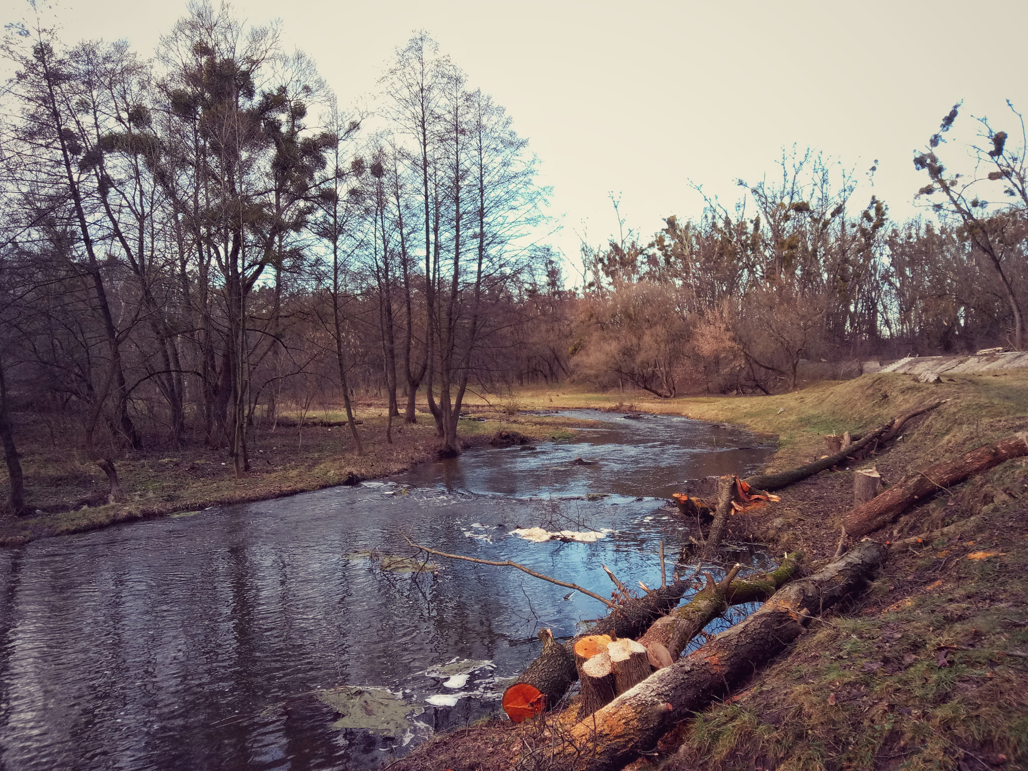 Meizu U20 sample photo