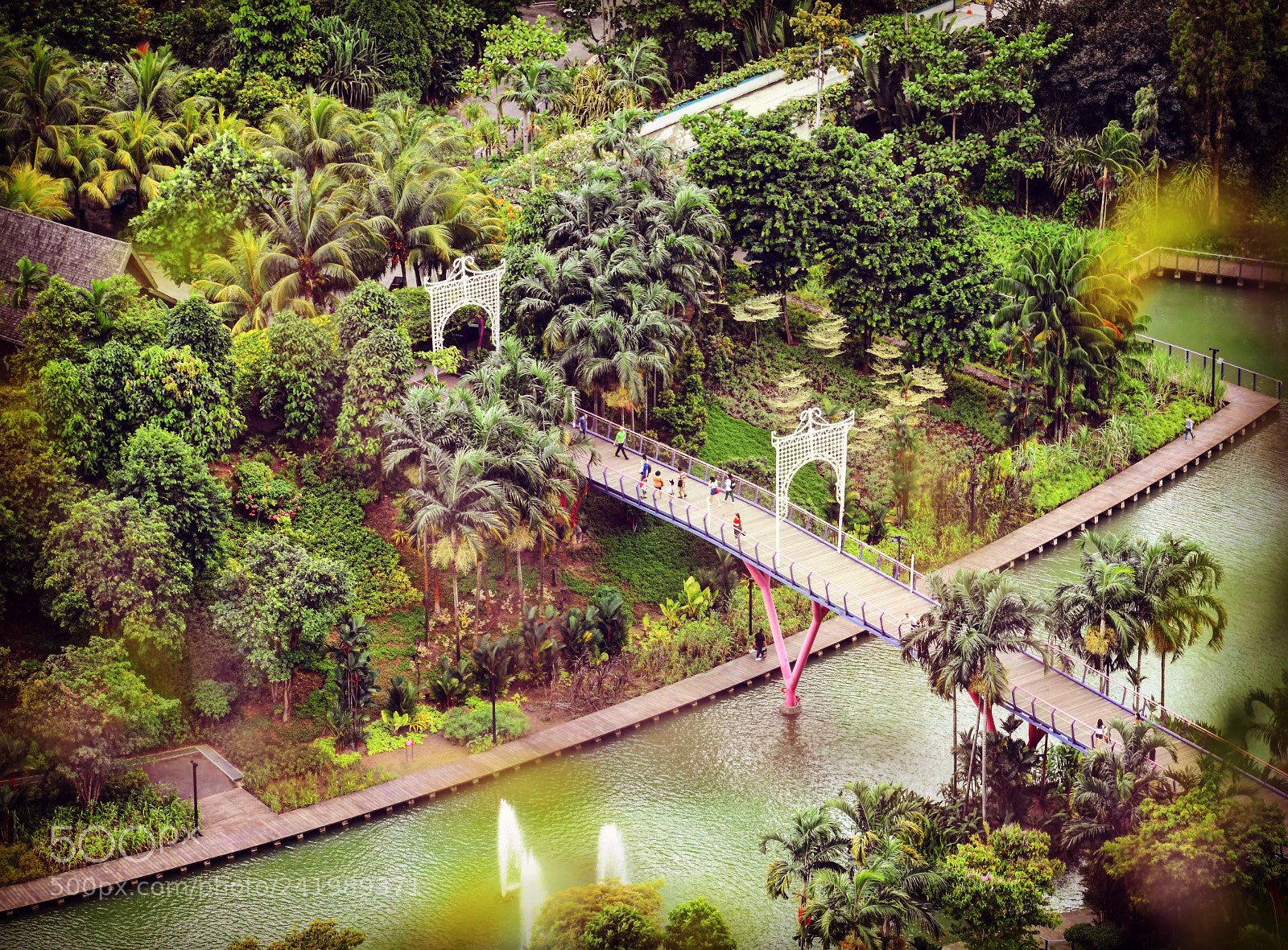 Nikon D3400 sample photo. Gardens by the bay photography