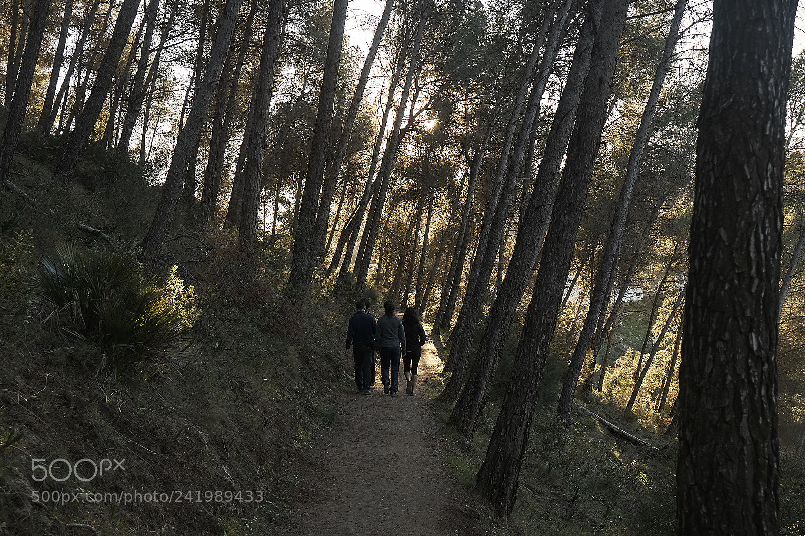 Sony ILCA-77M2 sample photo. Caminantes photography