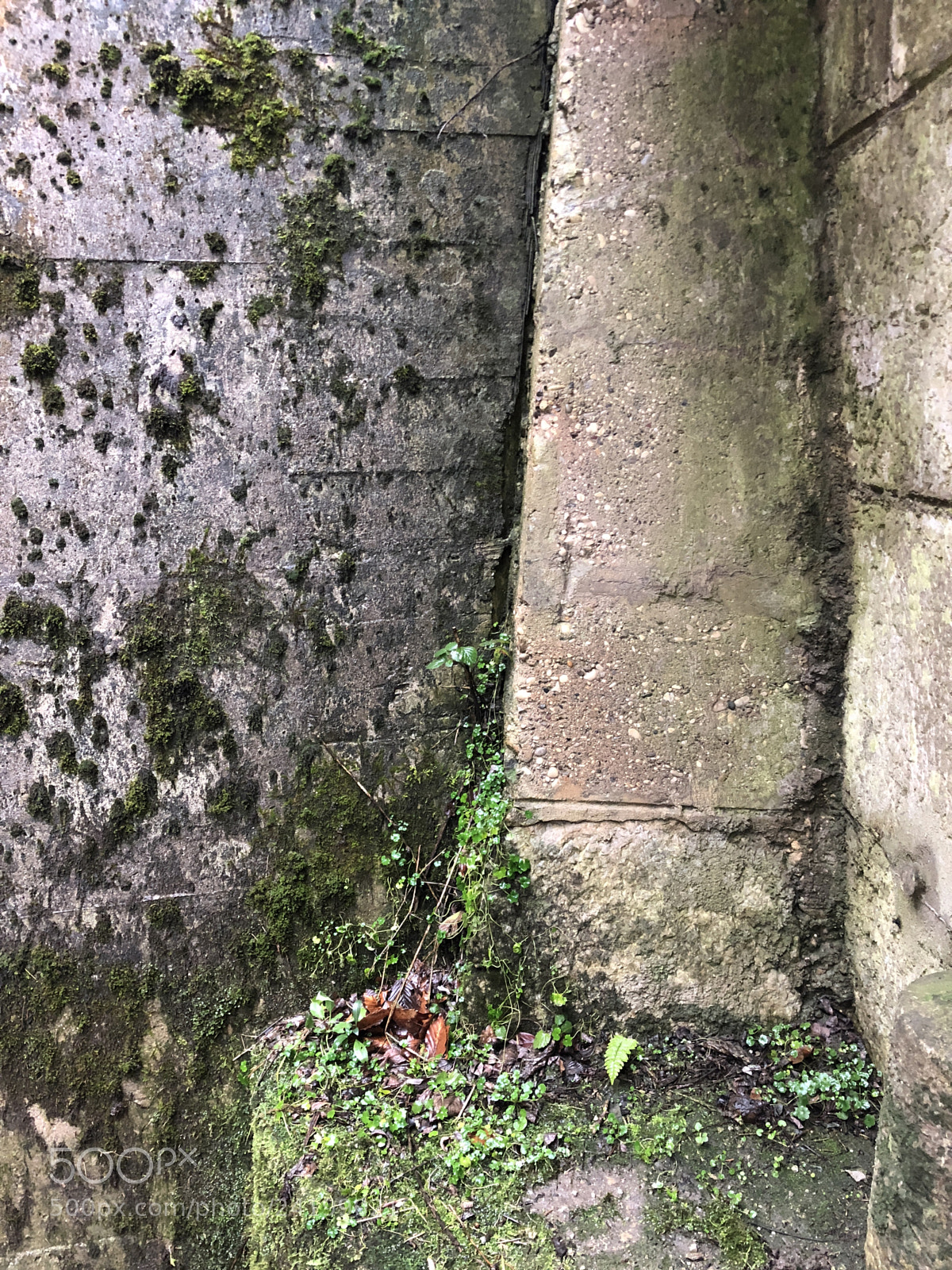 Apple iPhone 8 sample photo. Go back! photography