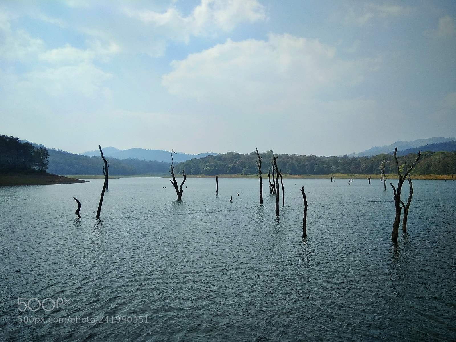 Xiaomi Redmi Note 4 sample photo. Thekkady photography