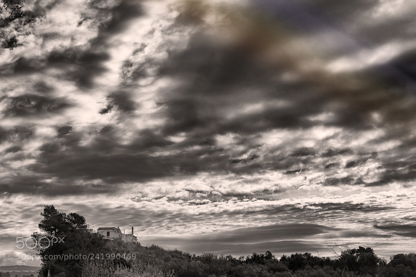 Nikon D3100 sample photo. Scatti al volo photography