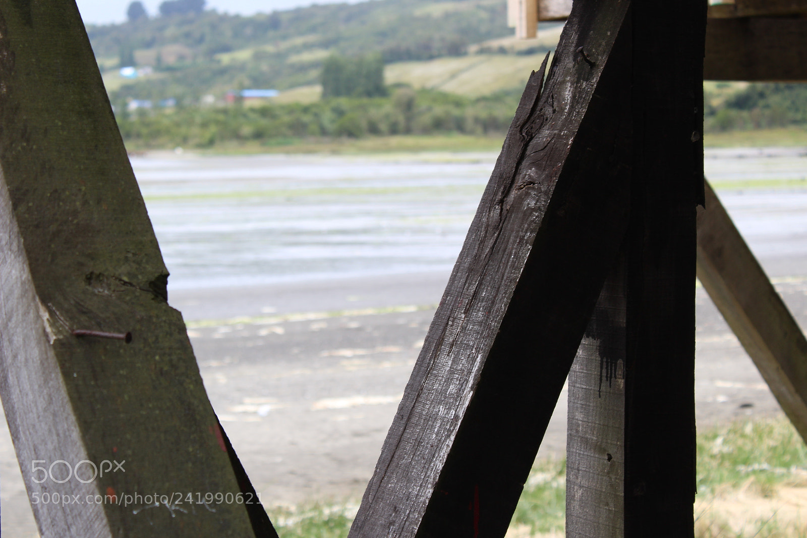 Canon EOS 1300D (EOS Rebel T6 / EOS Kiss X80) sample photo. Tkm photography