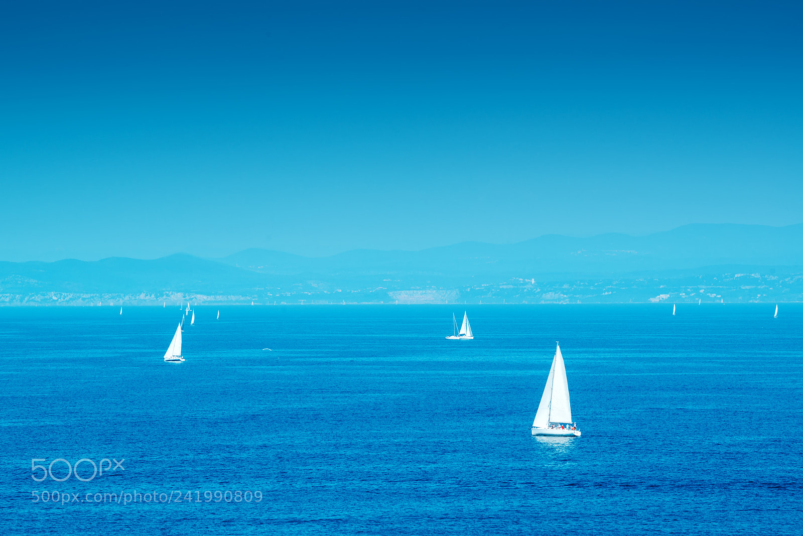 Nikon D600 sample photo. White yachts sailing at photography