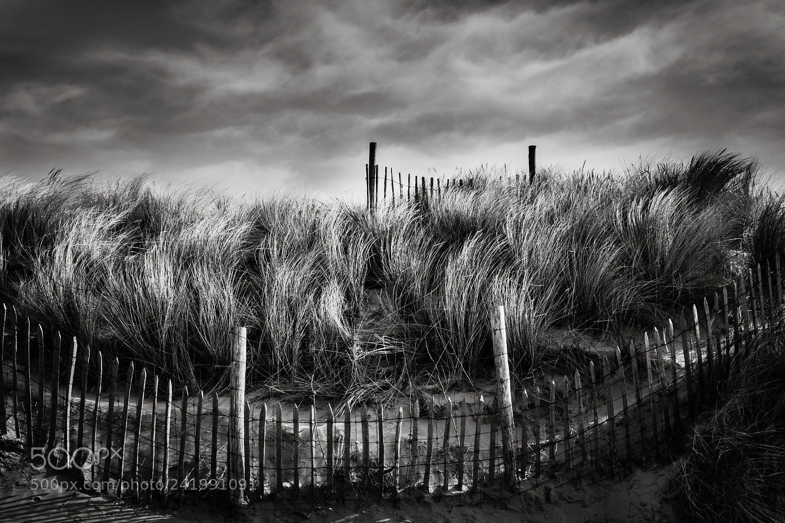 Panasonic Lumix DMC-GX8 sample photo. Fences photography