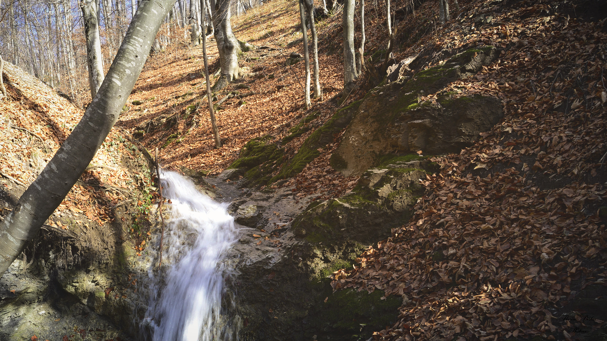 Nikon D800 sample photo. Flb photography