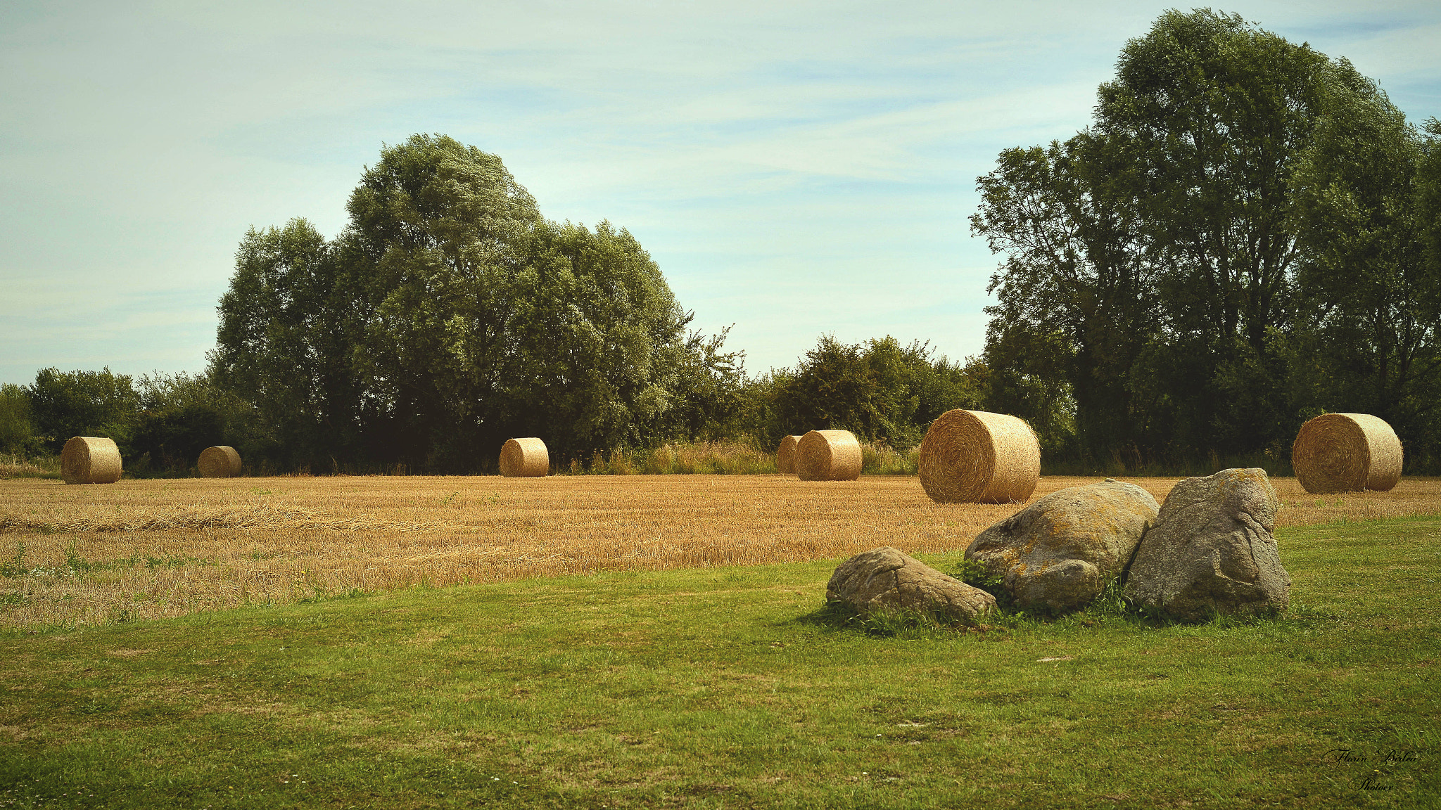 Nikon D800 sample photo. Flb photography