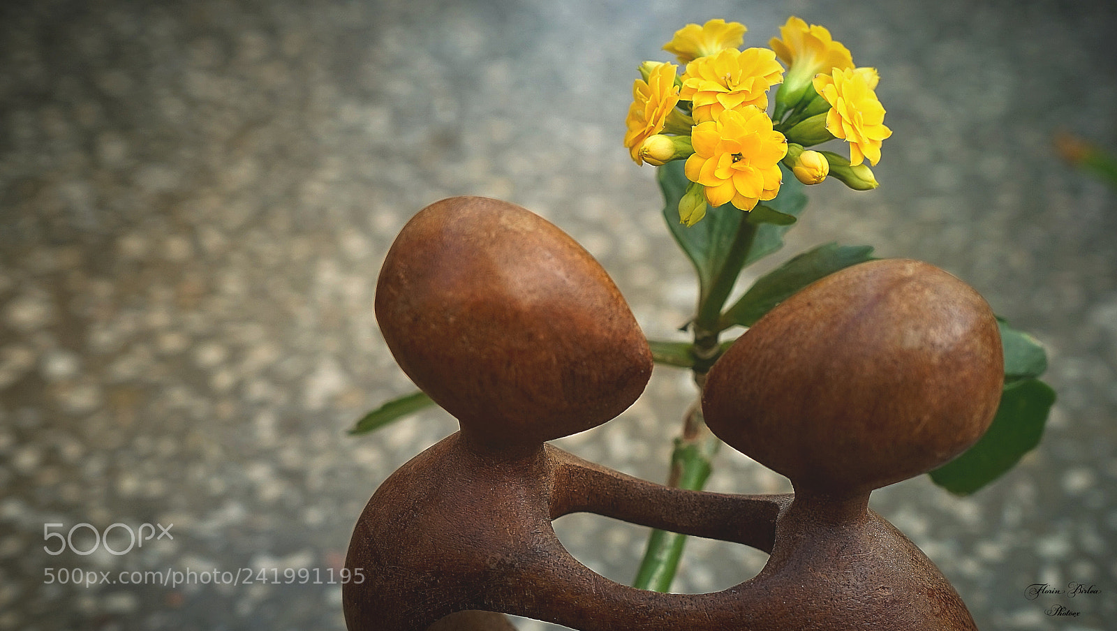 Sony a7 sample photo. Dsc photography