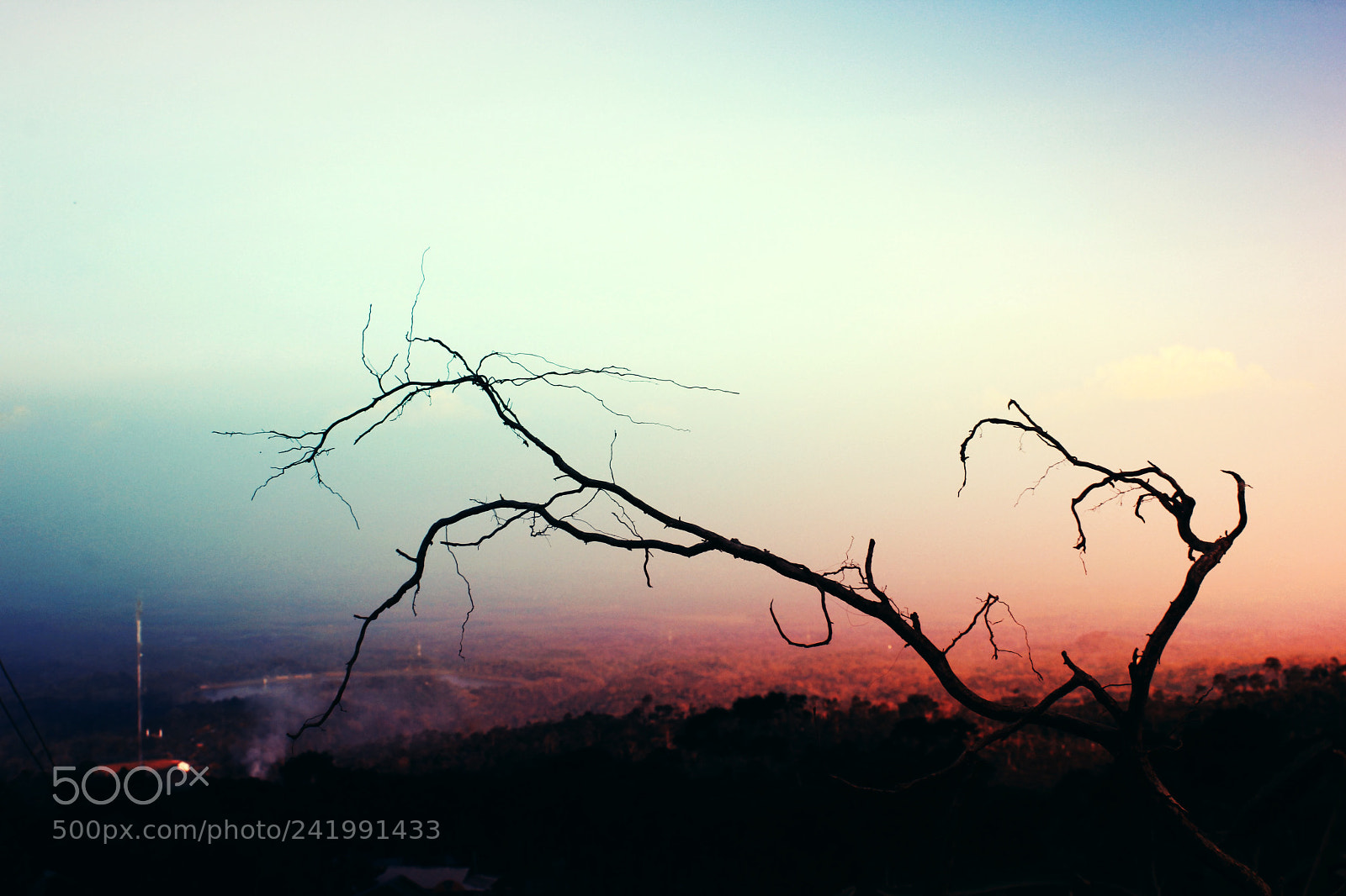 Canon EOS 60D sample photo. Twig and sincerity photography
