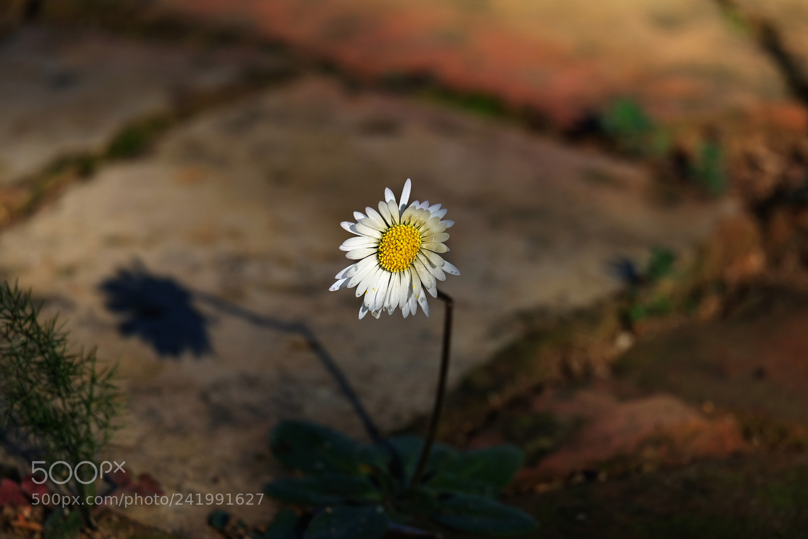 Fujifilm X-T10 sample photo. Untitled photography