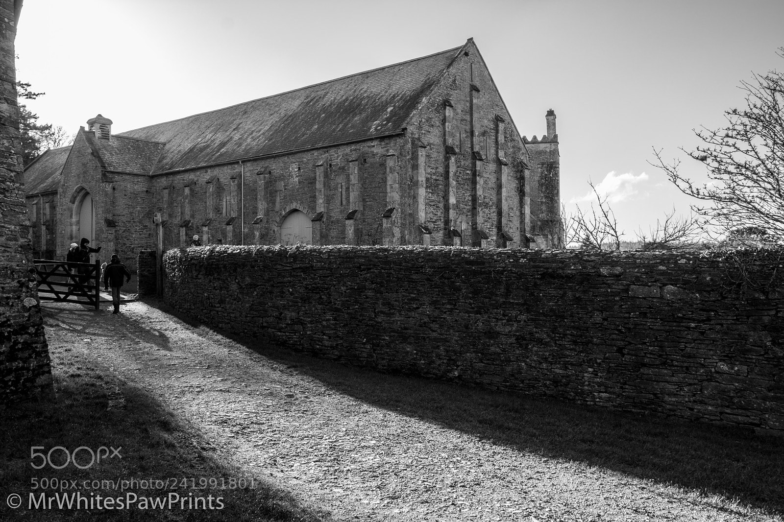 Nikon D7100 sample photo. Afternoon sun at buckland photography
