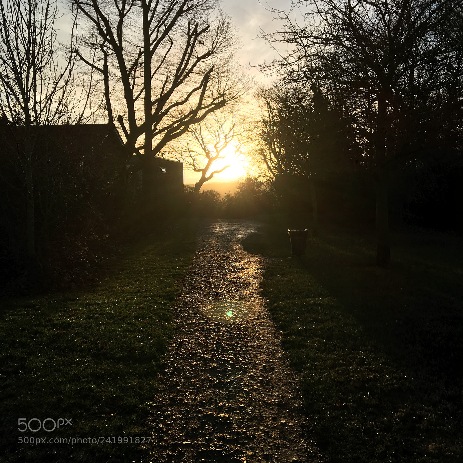 Apple iPhone SE sample photo. Just taking a walk photography