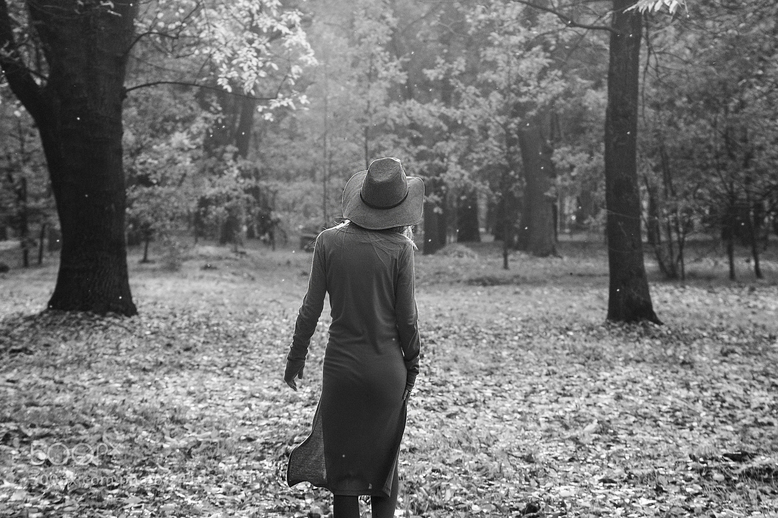 Canon EOS 500D (EOS Rebel T1i / EOS Kiss X3) sample photo. Autumn mood photography
