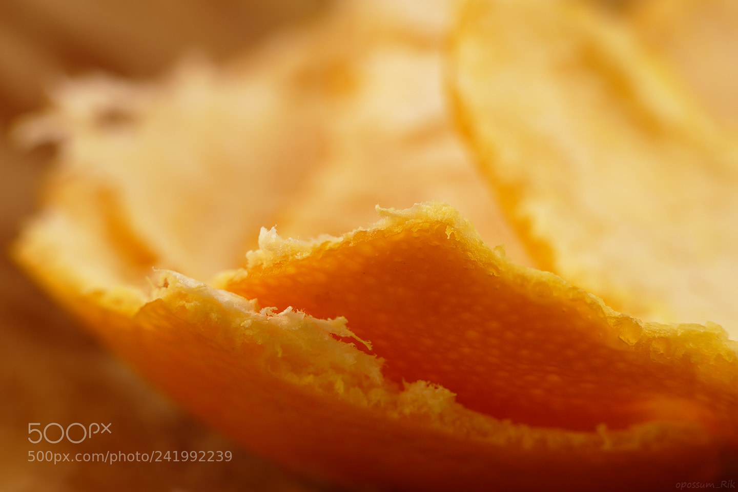 Panasonic Lumix DMC-FZ1000 sample photo. Mandarin peels photography