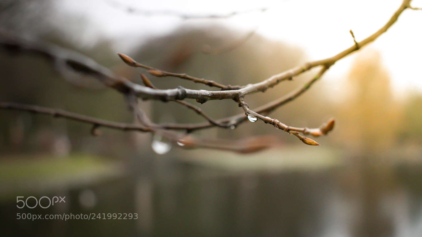 Canon EOS 77D (EOS 9000D / EOS 770D) sample photo. Untitled photography