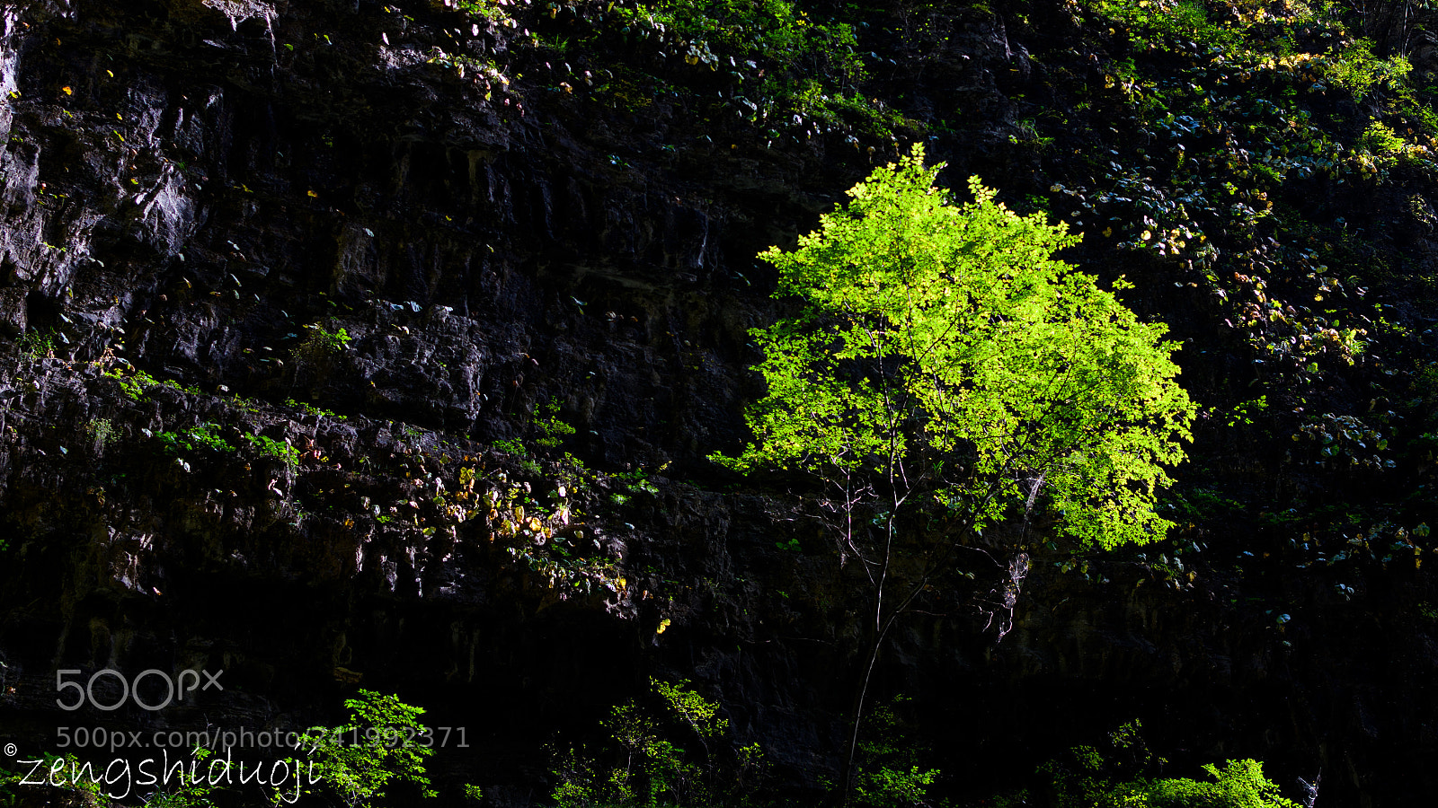 Nikon D500 sample photo. 光 photography