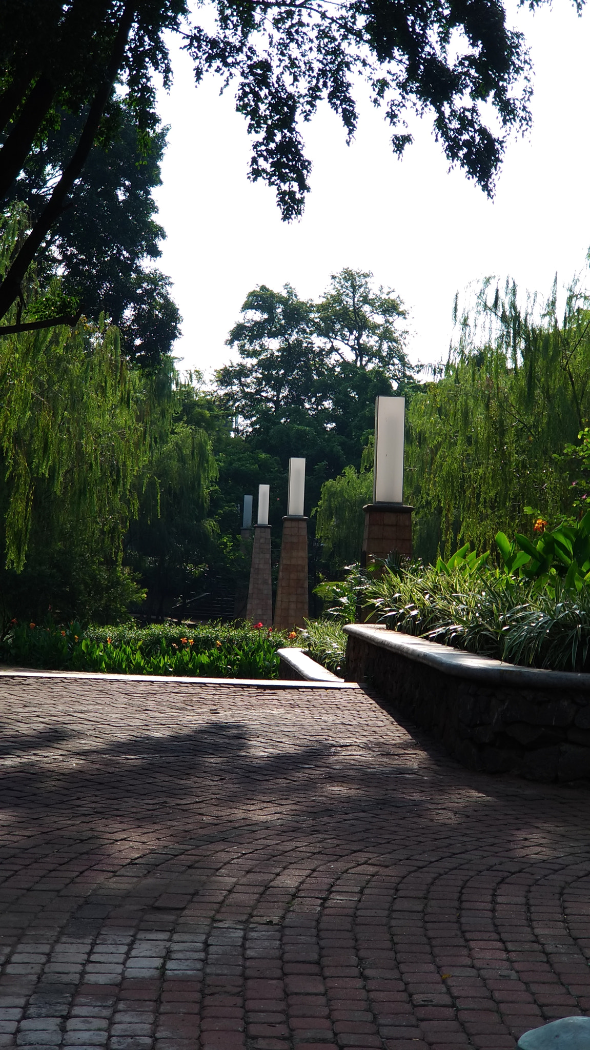 ASUS ZenFone 3 Zoom (ZE553KL) sample photo. City park photography