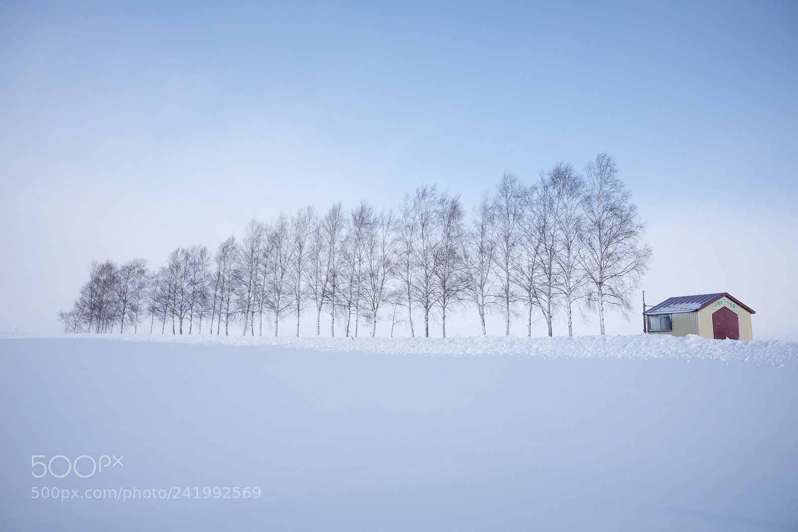 Fujifilm X70 sample photo. Winter in hokkaido photography