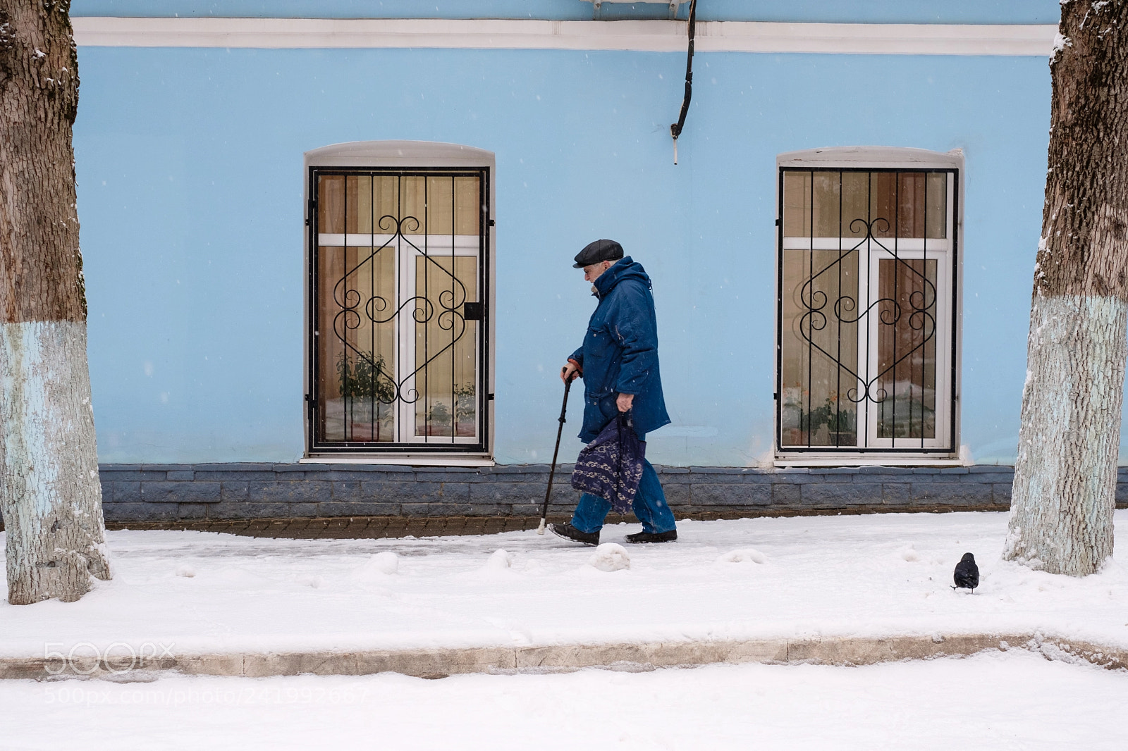 Fujifilm X-T20 sample photo. In the snow photography