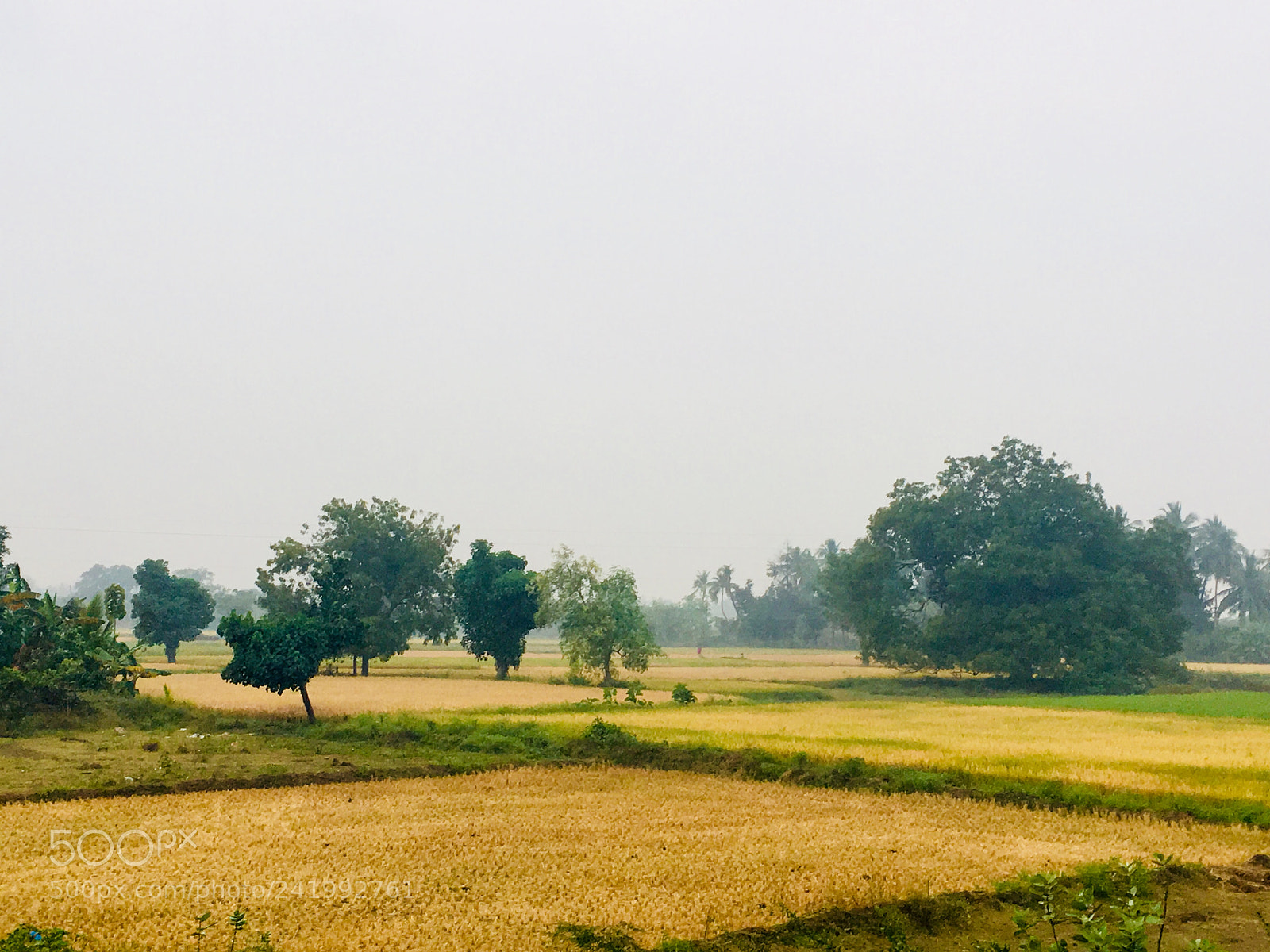 Apple iPhone SE sample photo. Untitled photography
