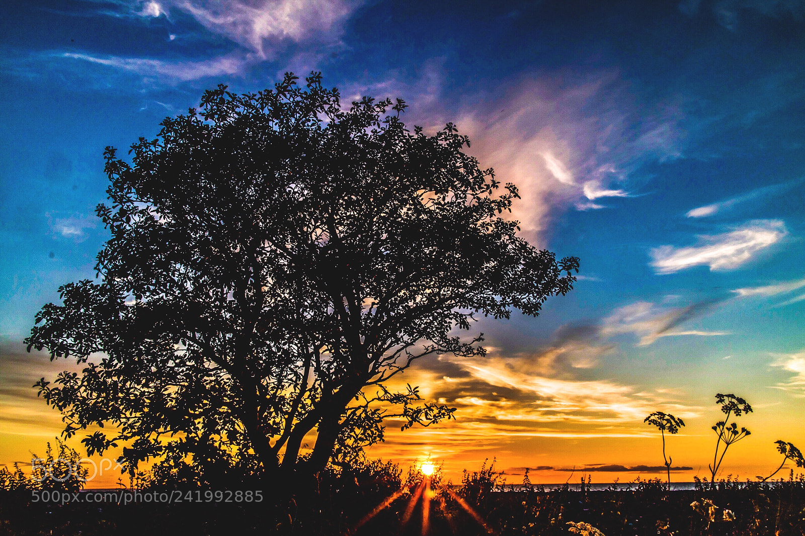 Canon EOS M3 sample photo. Sunset on the island photography