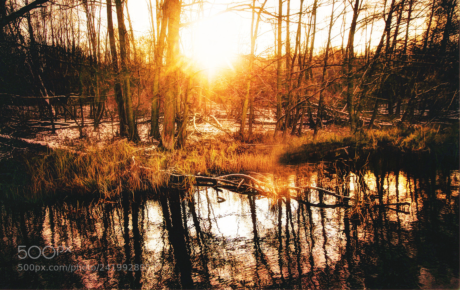 Canon EOS 50D sample photo. Fire sunny photography