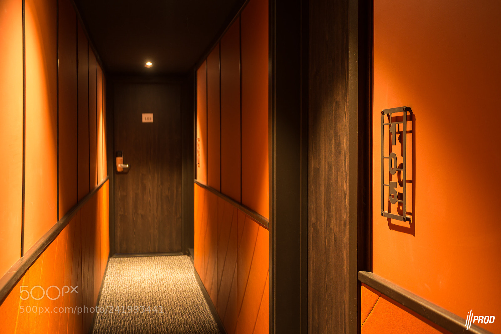 Canon EOS-1D X sample photo. H tel dragon photography