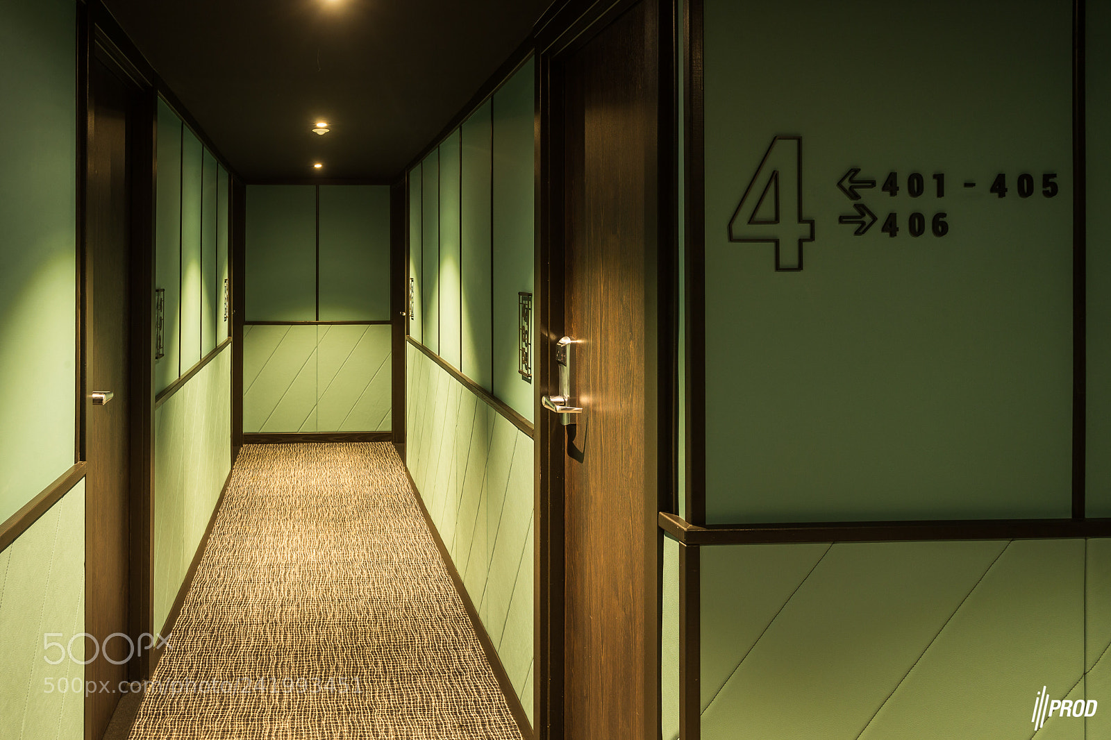 Canon EOS-1D X sample photo. H tel dragon photography