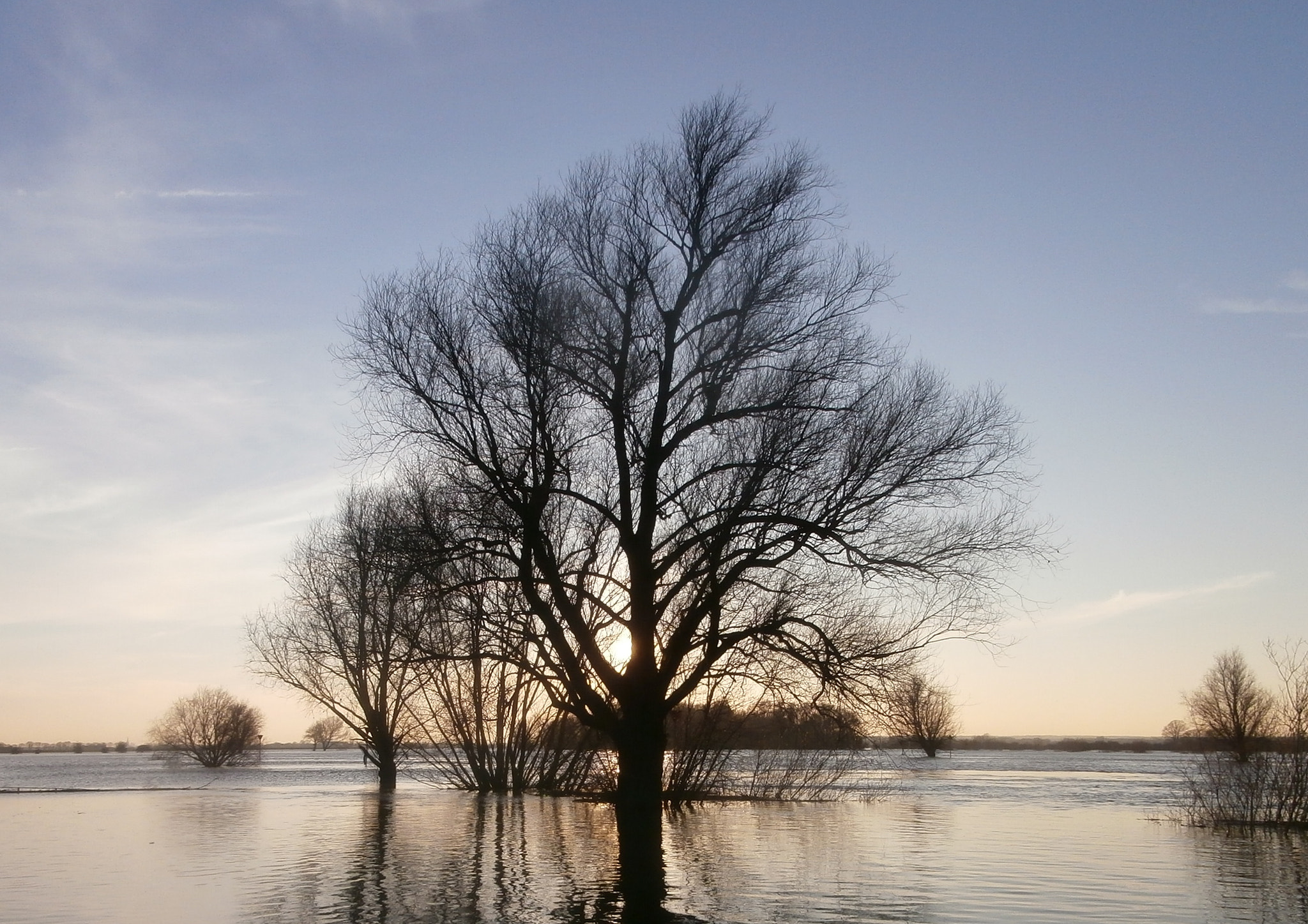 Olympus VR340,D750 sample photo. River ijssel. photography