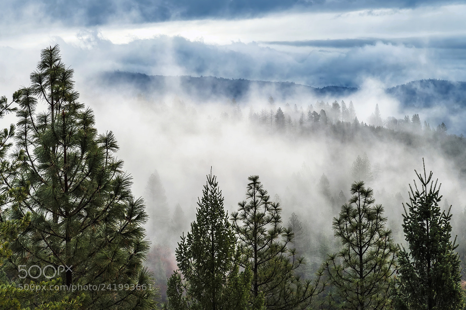 Nikon D5 sample photo. Clouds and forest photography
