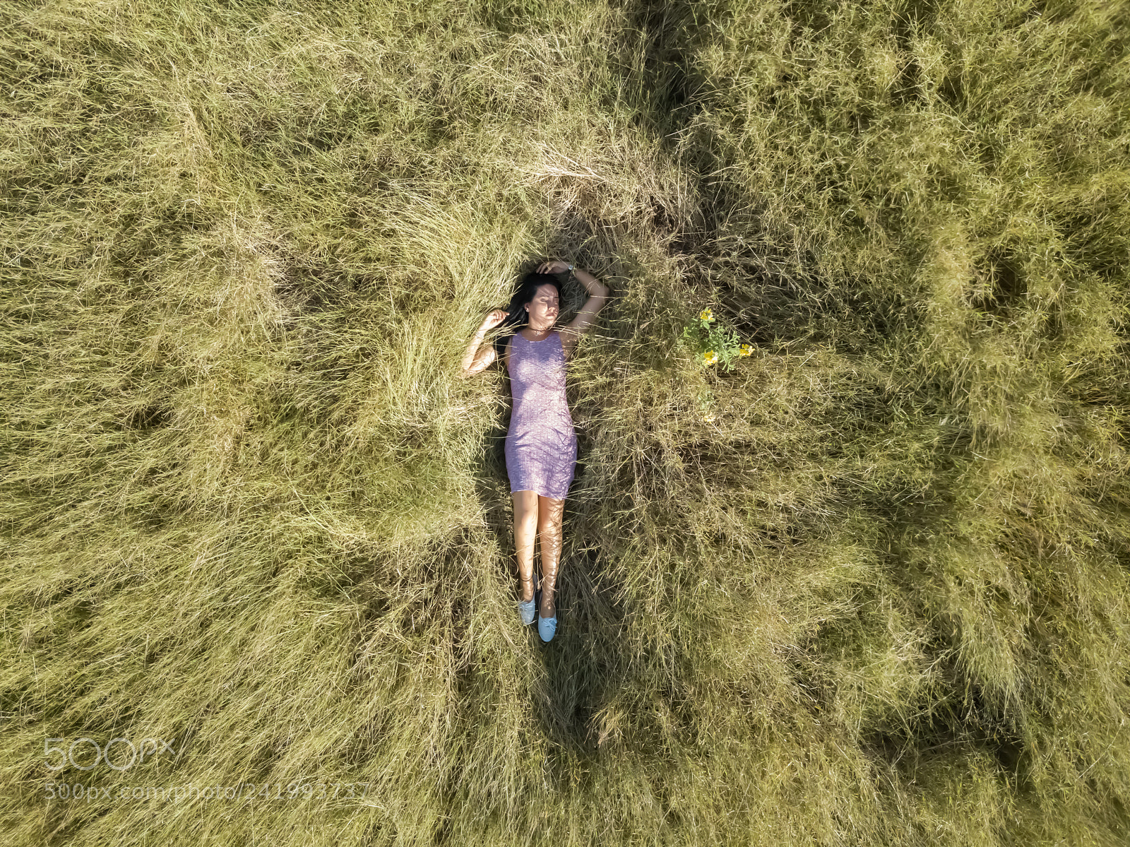 DJI FC220 sample photo. Sleeping beauty photography