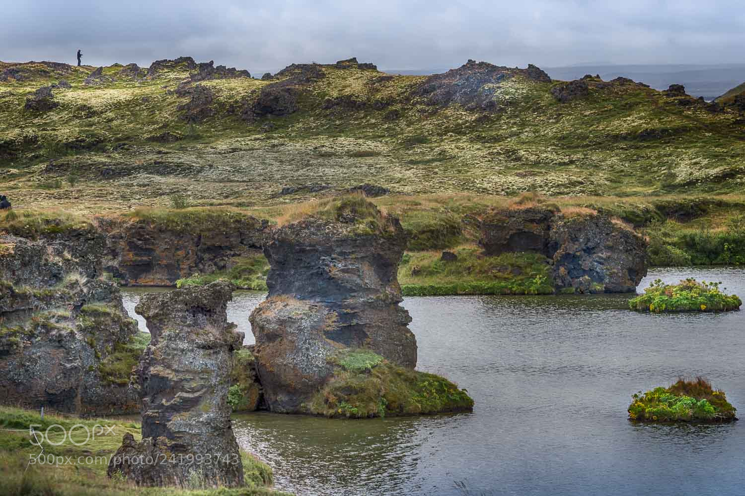 Nikon D500 sample photo. Birtingatjorn, iceland photography