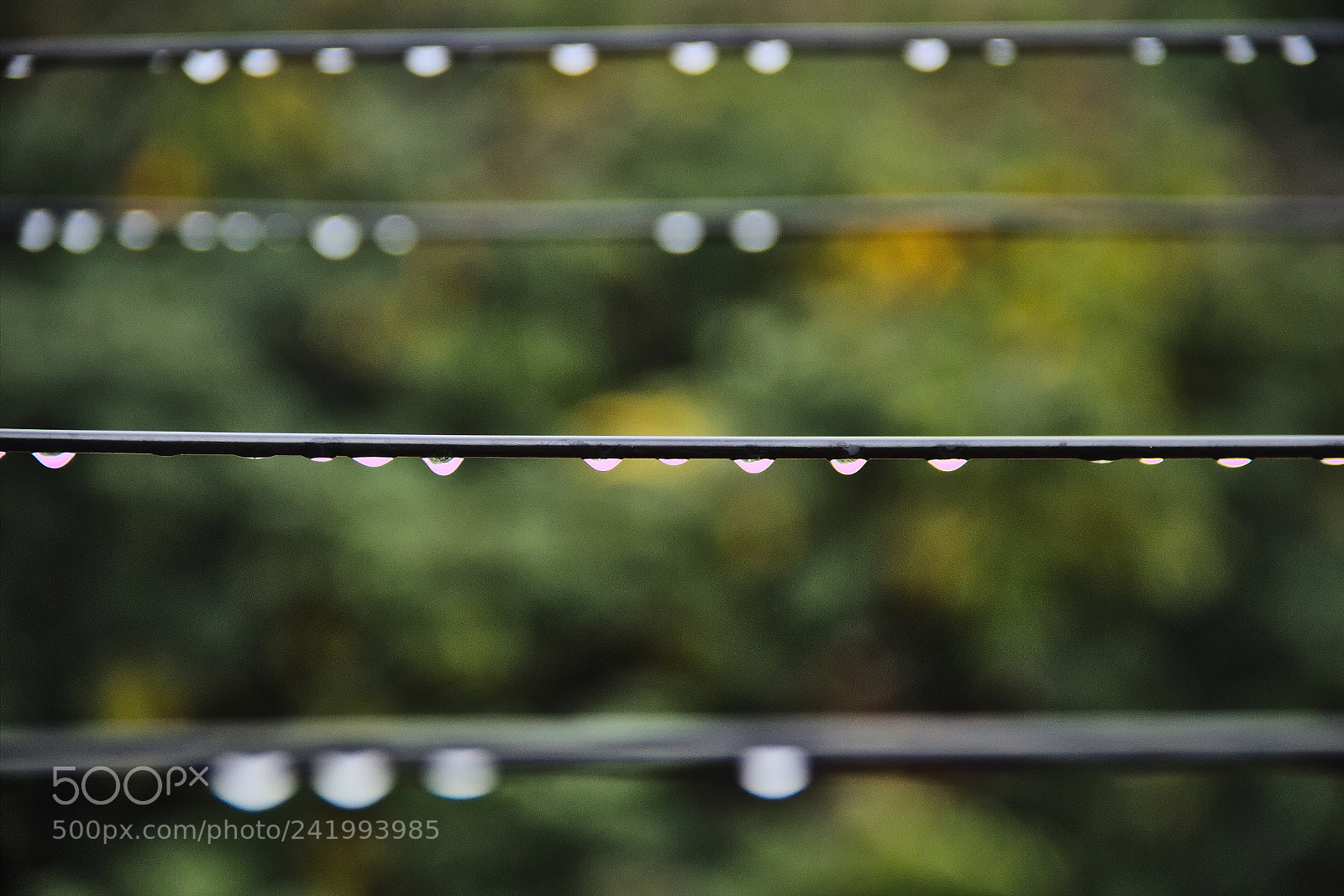 Canon EF-S 18-135mm F3.5-5.6 IS sample photo. Wet clothes lines photography