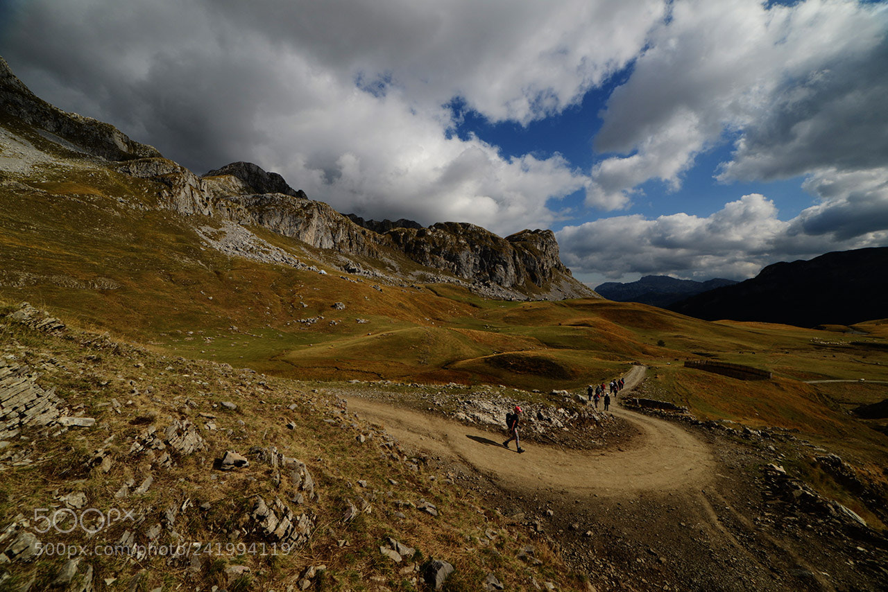 Nikon D600 sample photo. Лукавица photography